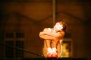 Le Reve d Erica 20 * 4368 x 2912 * (5.12MB)